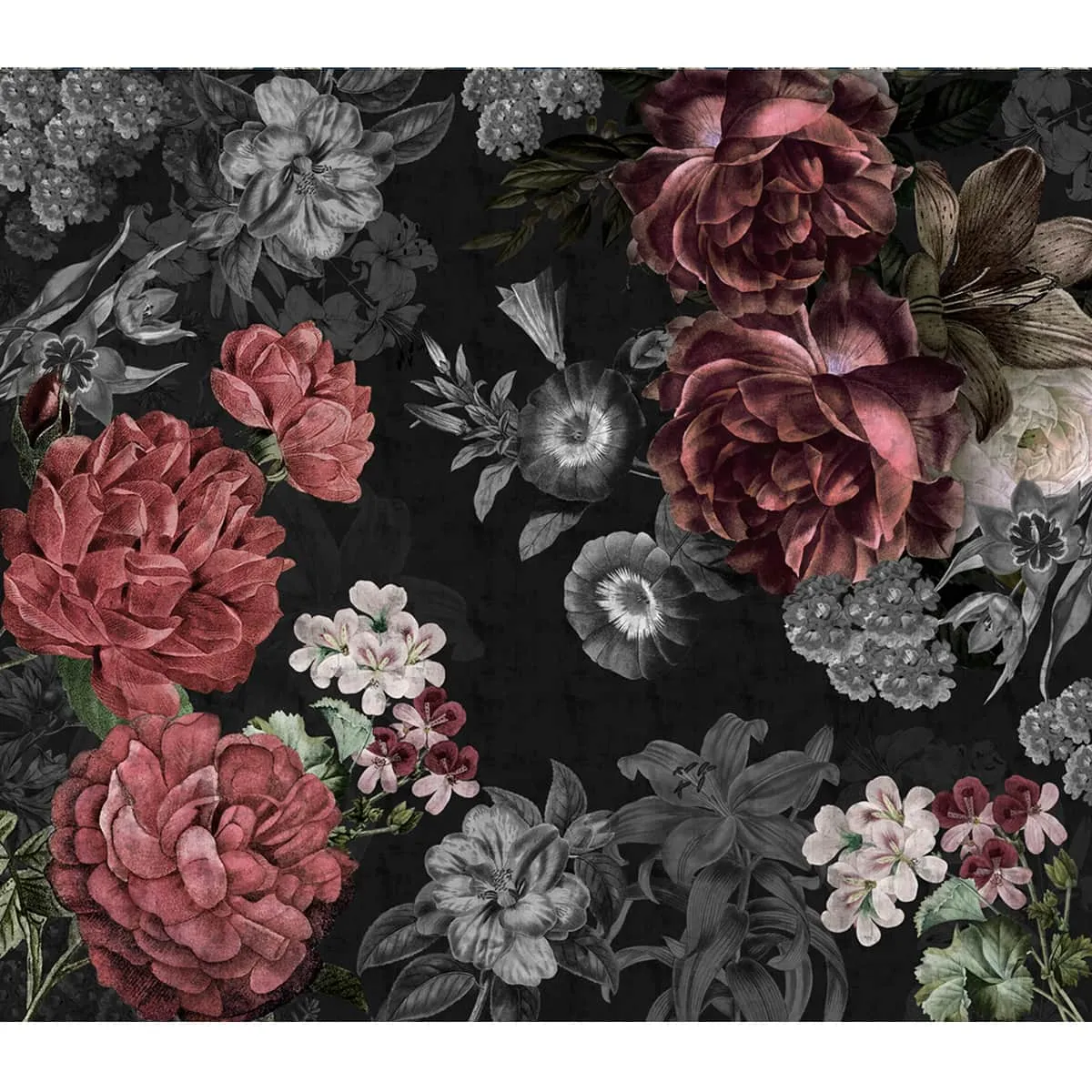 Big Red Flowers on Black and Grey Background Wallpaper, Customised