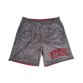 Reversible Concrete Mesh Shorts