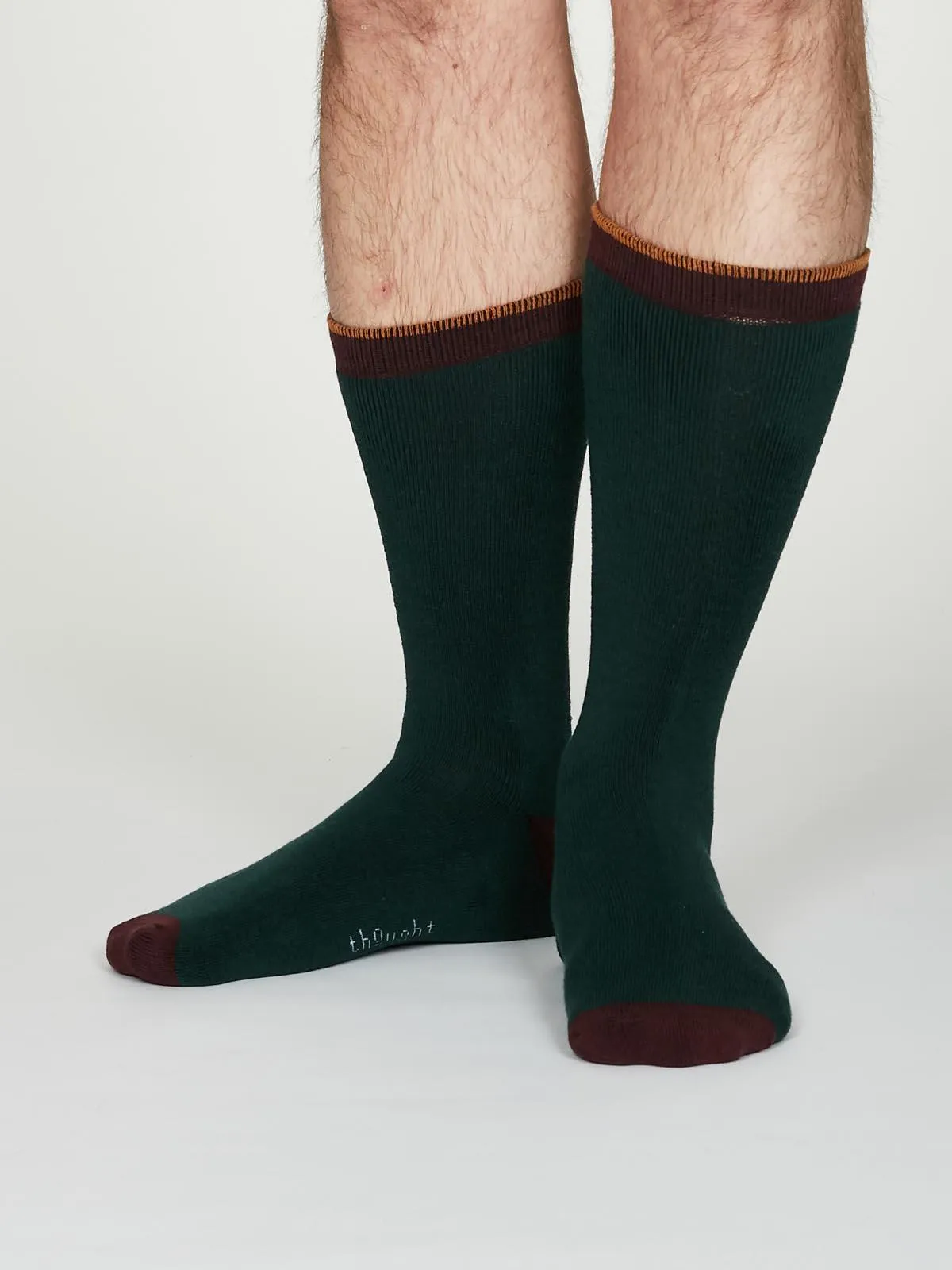 Walker Socks - Forest